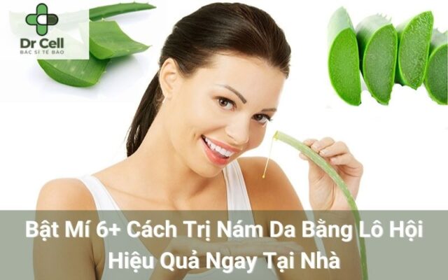 Cách trị nám da bằng lô hội
