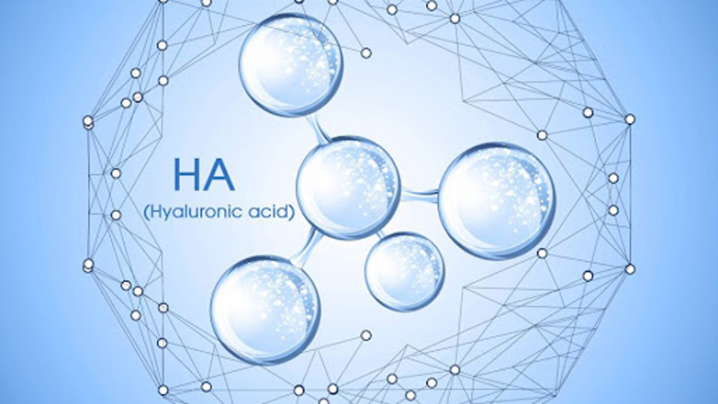 Hyaluronic Acid (HA)