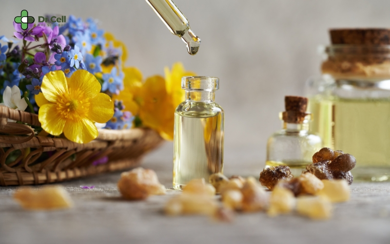 các loại tinh dầu xoa bóp