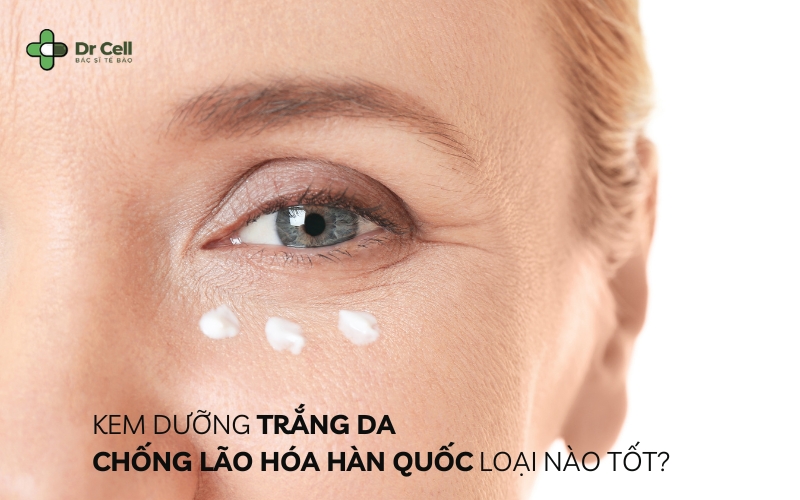 Kem Dưỡng Trắng Da Chống Lão Hóa Hàn Quốc Loại Nào Tốt Nhất